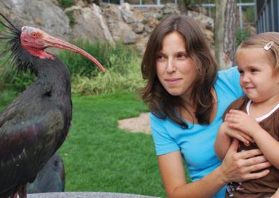 Auf der Spur des Waldrapps