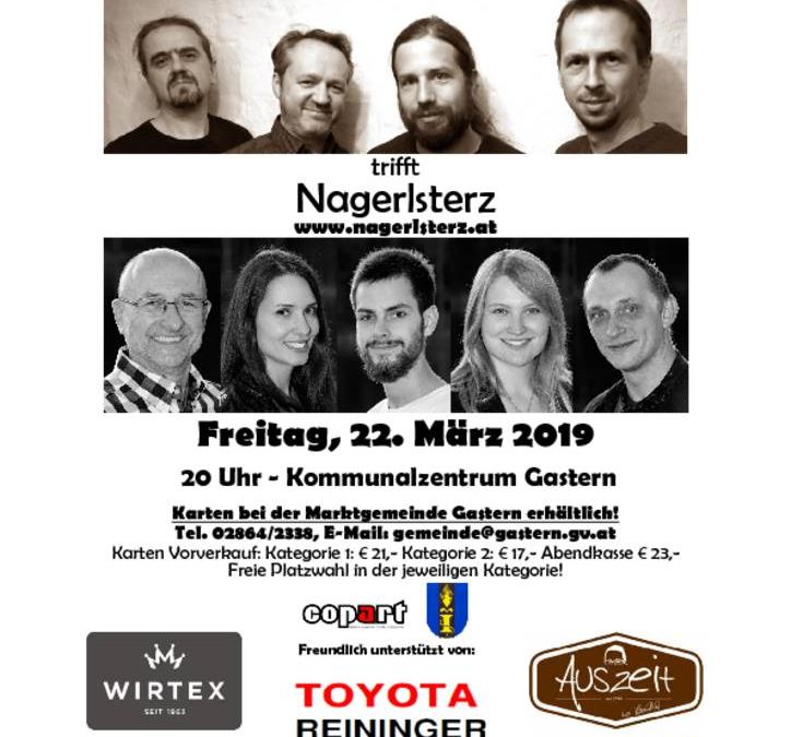 thumbnail of Plakat 2019 – Konzert Stoahoat Bazwoach 22.03.2019