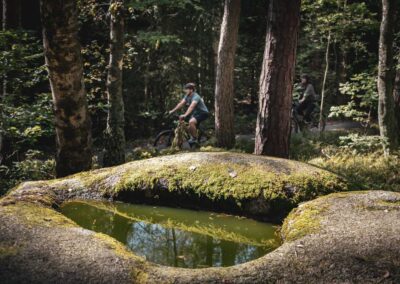 Kautzen: Platz des Skorpions